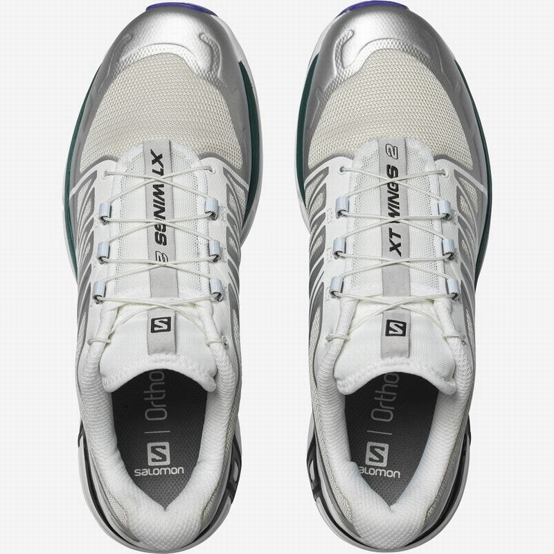 Men's Salomon XT-WINGS 2 Trail Running Shoes Grey / White | VANBQG-740