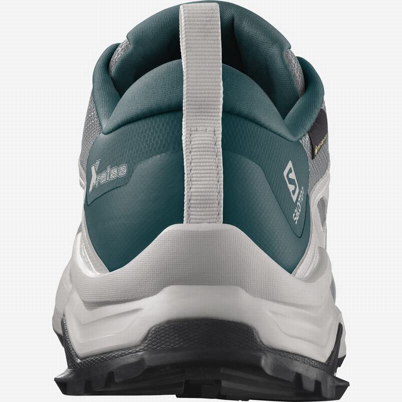 Men's Salomon X RAISE GORE-TEX Hiking Shoes Deep Grey / Turquoise | LKEOUD-703