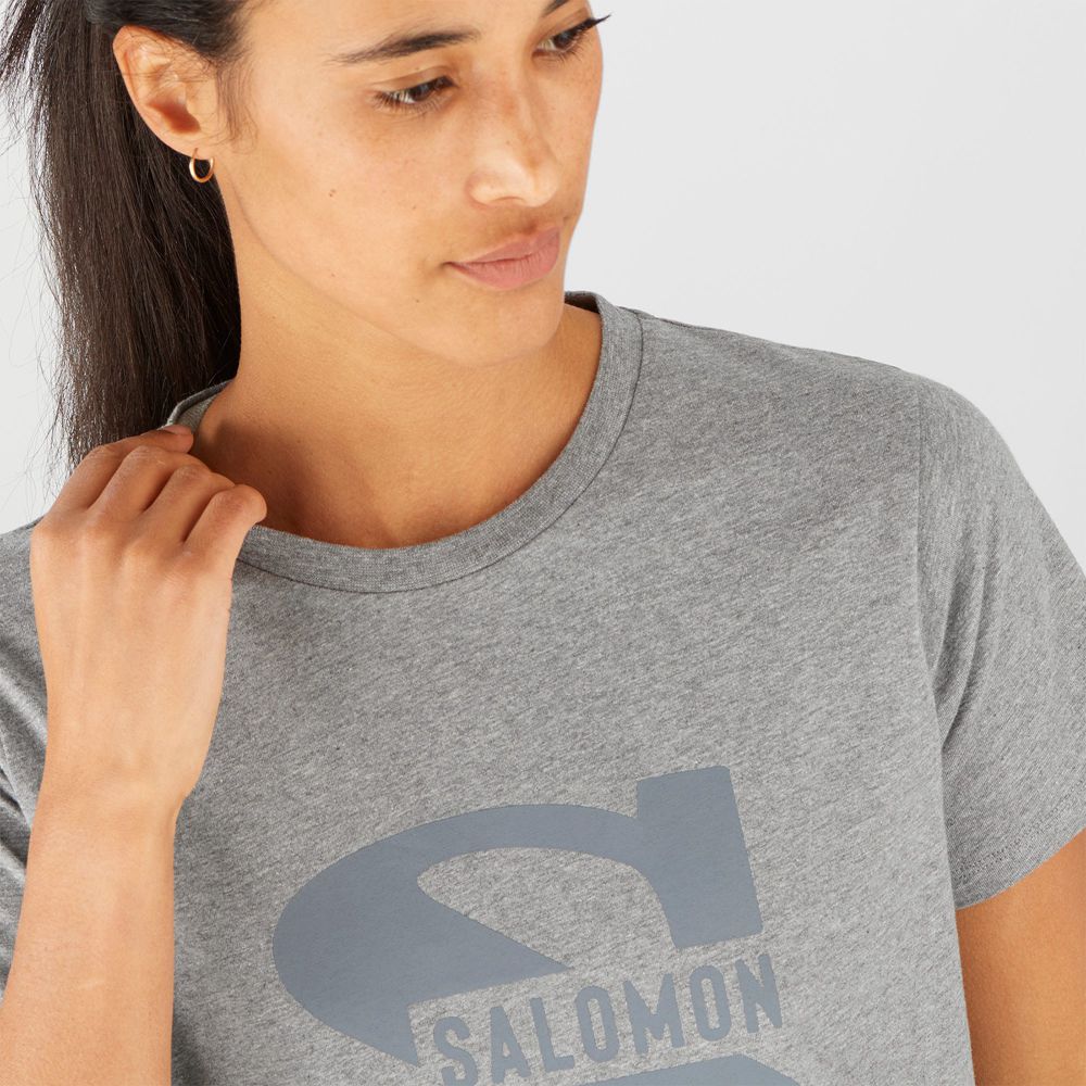 Women's Salomon OUTLIFE BIG LOGO Short Sleeve T Shirts Mid Grey | JLMTYV-053