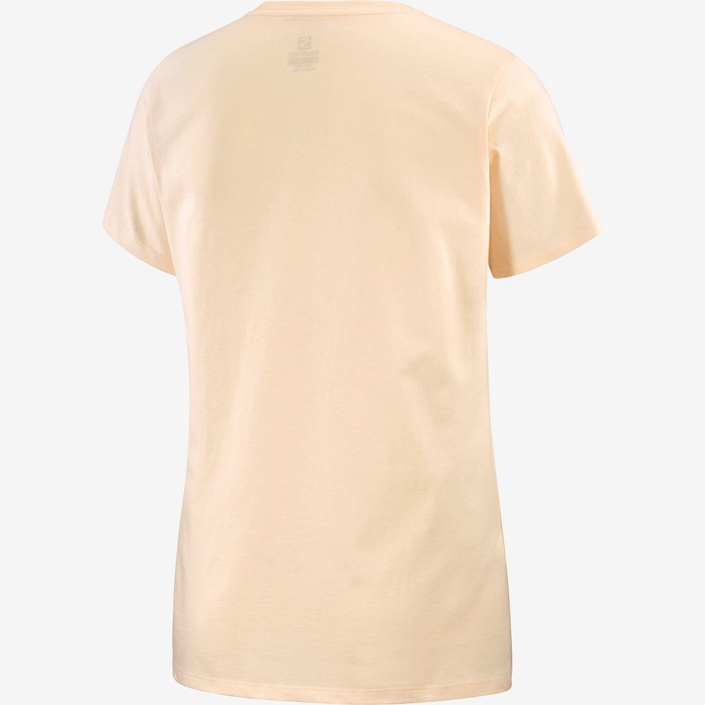 Women's Salomon OUTLIFE BIG LOGO Short Sleeve T Shirts Beige | YGZOLA-384