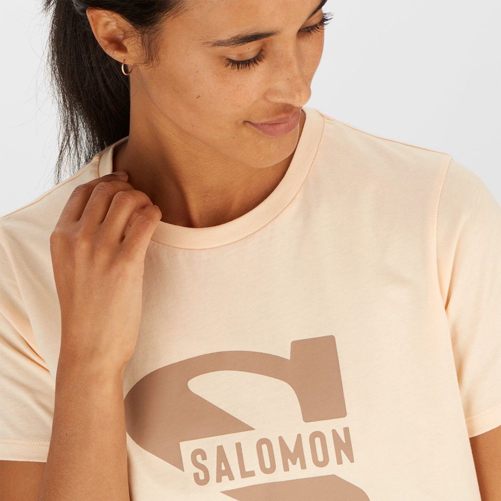 Women's Salomon OUTLIFE BIG LOGO Short Sleeve T Shirts Beige | YGZOLA-384