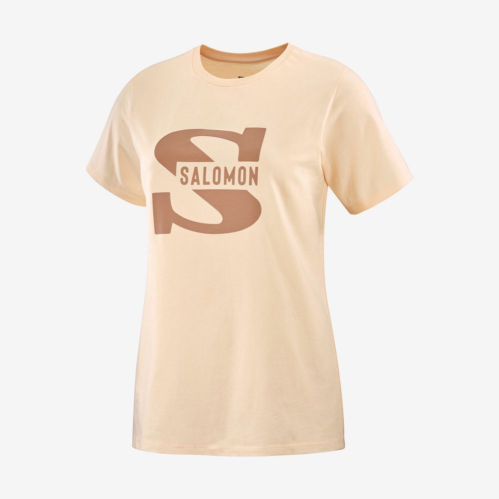 Women's Salomon OUTLIFE BIG LOGO Short Sleeve T Shirts Beige | YGZOLA-384