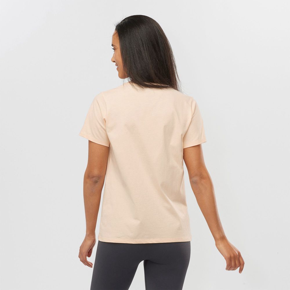 Women's Salomon OUTLIFE BIG LOGO Short Sleeve T Shirts Beige | YGZOLA-384