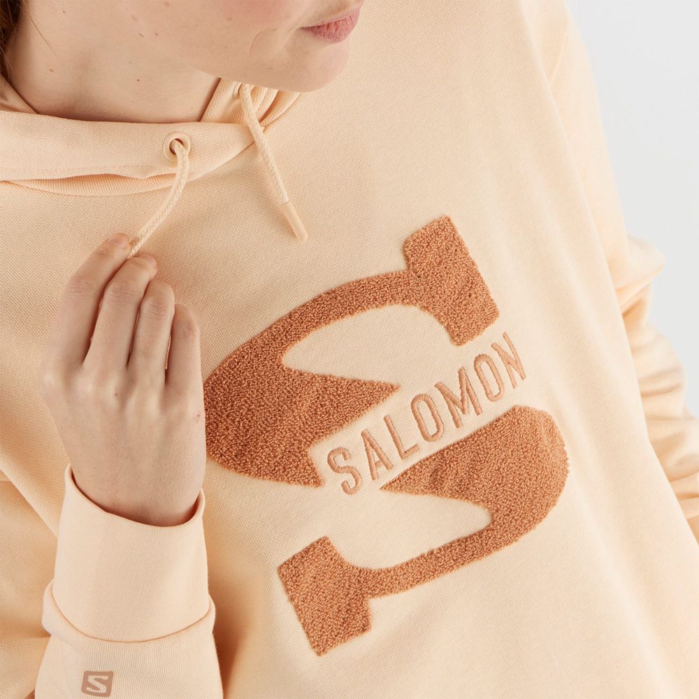 Women's Salomon OUTLIFE LOGO SUMMER Hooded Pullover Beige | KAVDIH-049