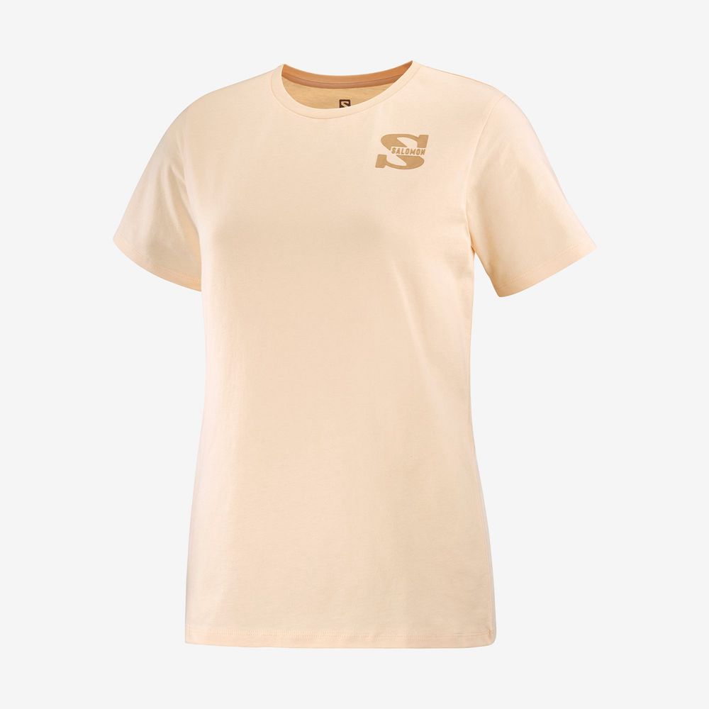 Women's Salomon OUTLIFE SMALL LOGO SS W Short Sleeve T Shirts Khaki | VDHQNT-571