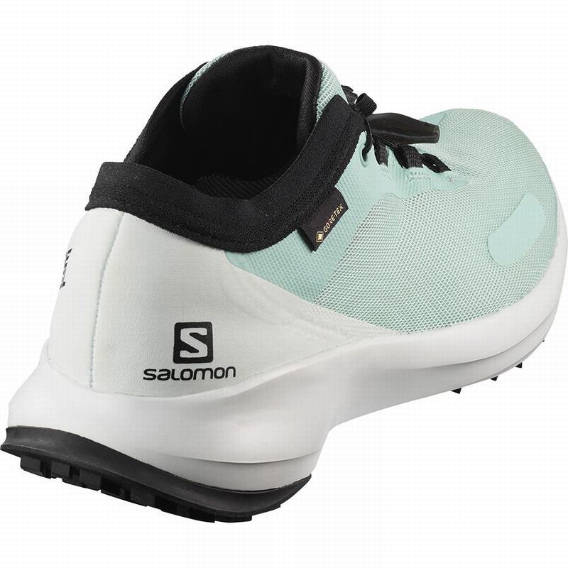 Women's Salomon SENSE FEEL GTX W Trail Running Shoes Turquoise / White | 6047SCLAO