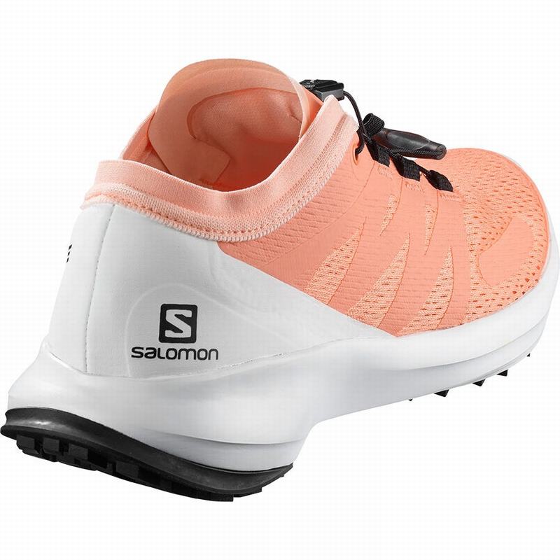 Women's Salomon SENSE FLOW W Trail Running Shoes White | 0837CQVBR