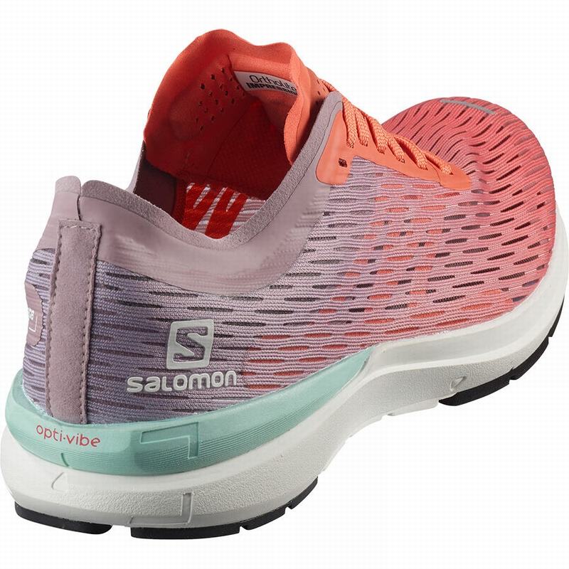 Women's Salomon SONIC 3 ACCELERATE W Running Shoes Brown / White | WUJSXC-672