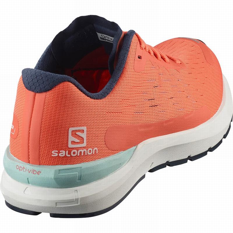 Women's Salomon SONIC 3 BALANCE W Running Shoes Brown / White | CZSGAE-283