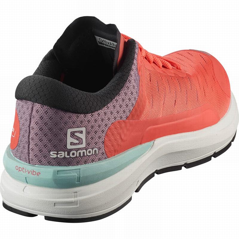 Women's Salomon SONIC 3 CONFIDENCE W Running Shoes Brown / White | KYOXTG-125