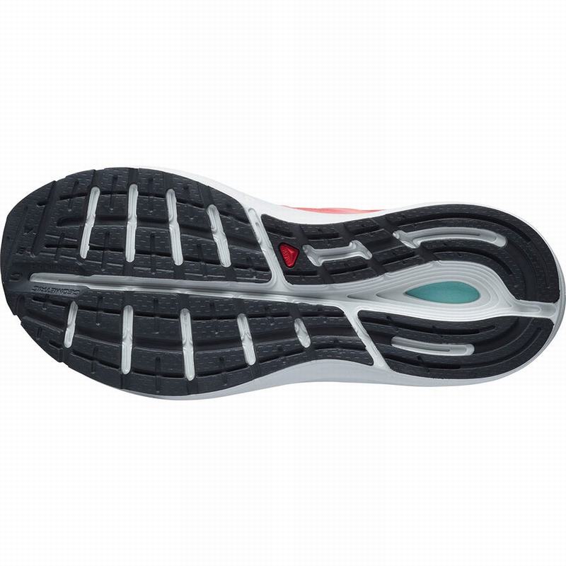 Women's Salomon SONIC 4 CONFIDENCE Road Running Shoes White | XMEIDP-307