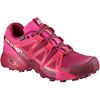 Women's Salomon SPEEDCROSS VARIO 2 GTX W Trail Running Shoes Silver | 9082ZAMDN