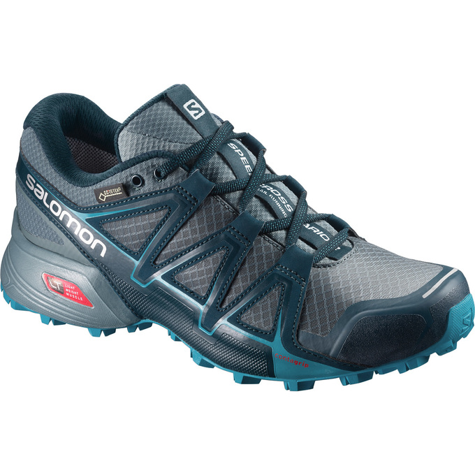 Women\'s Salomon SPEEDCROSS VARIO 2 GTX W Trail Running Shoes Silver | 9082ZAMDN