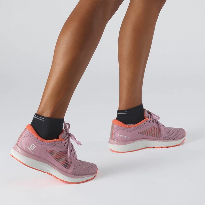 Women's Salomon VECTUR Running Shoes Grey / White | EXYAFM-789