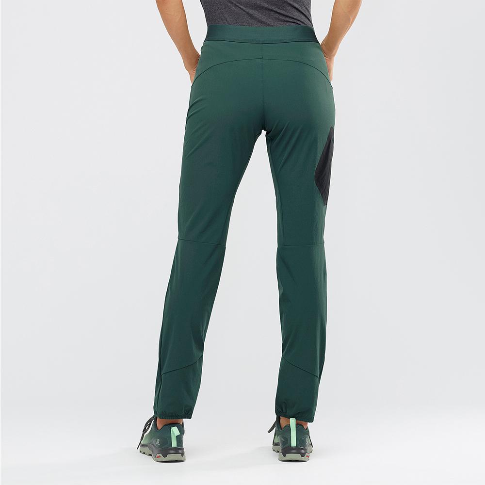 Women's Salomon WAYFARER ALPINE W Pants Green | GQIVLO-074