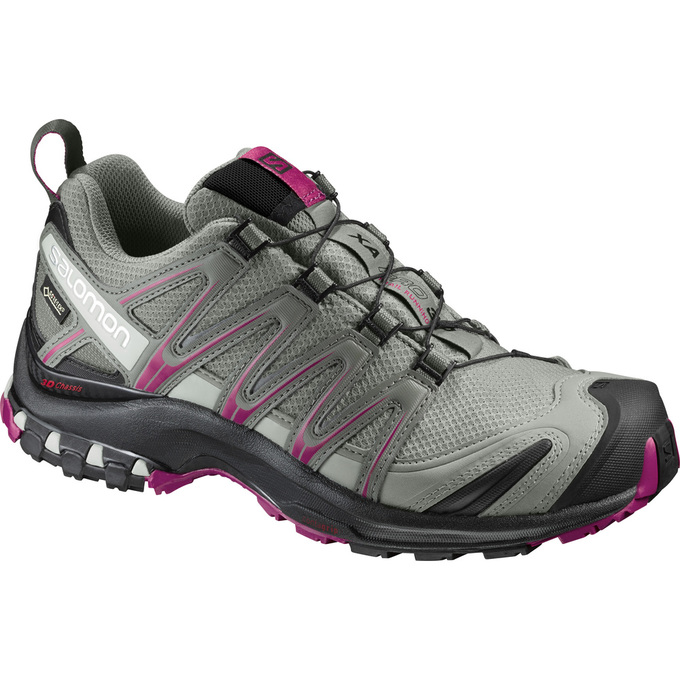 Women\'s Salomon XA PRO 3D GTX W Trail Running Shoes Silver | 1842SGEXT