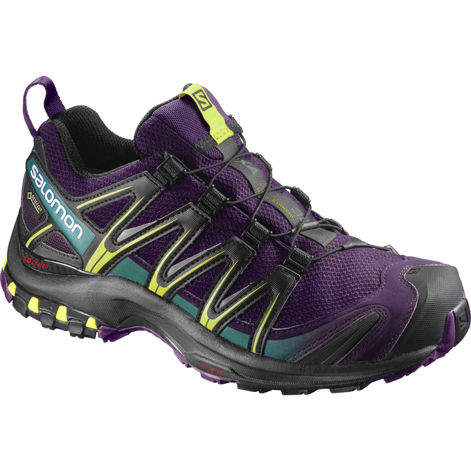 Women\'s Salomon XA PRO 3D GTX W Trail Running Shoes Purple / Black | 5613XEZNU