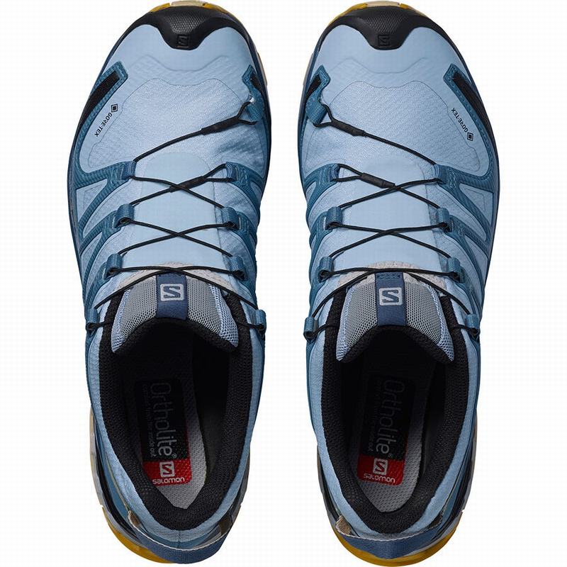 Women's Salomon XA PRO 3D V8 GORE-TEX Hiking Shoes Blue | HLETBC-086