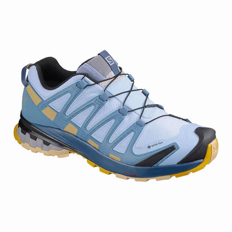 Women\'s Salomon XA PRO 3D V8 GORE-TEX Hiking Shoes Blue | HLETBC-086