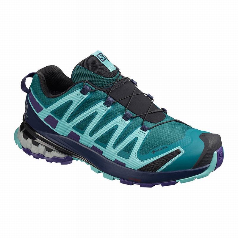 Women\'s Salomon XA PRO 3D V8 GORE-TEX Hiking Shoes Blue | XMHIRW-351