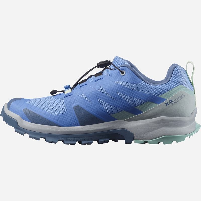 Women's Salomon XA ROGG GTX W Trail Running Shoes Blue | 1654HUWTD