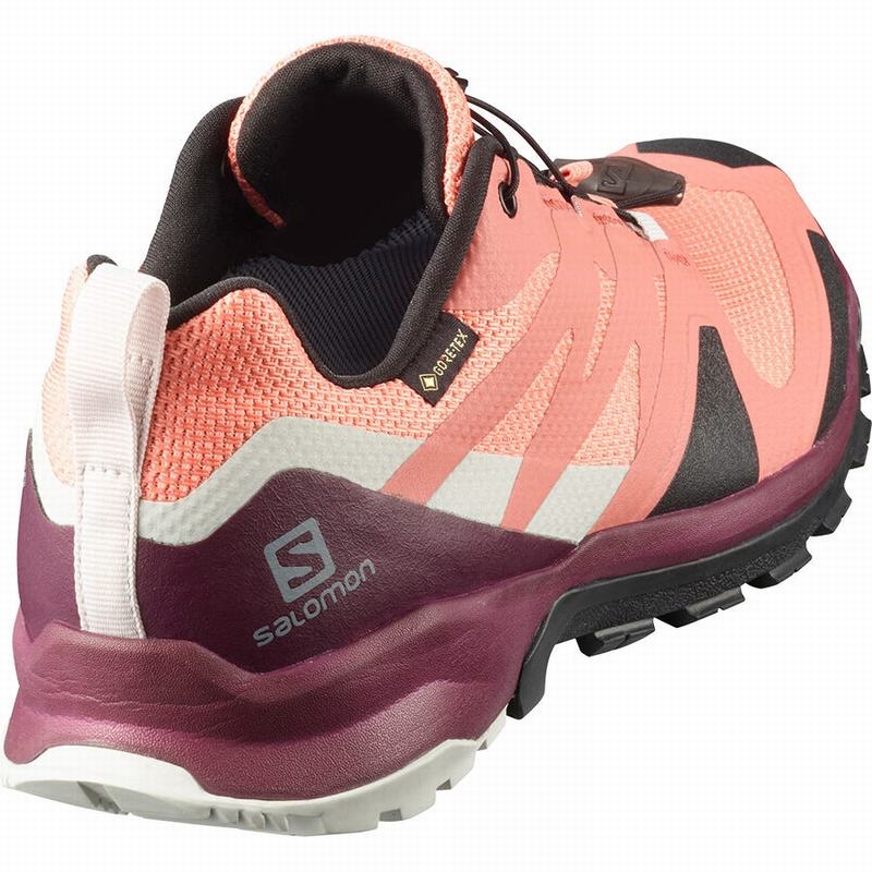 Women's Salomon XA ROGG GTX W Trail Running Shoes Coral / Black | 9753WRZVC