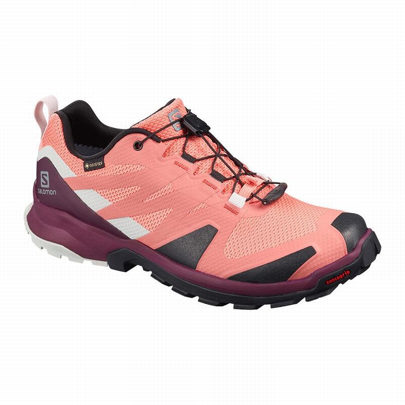 Women\'s Salomon XA ROGG GTX W Trail Running Shoes Coral / Black | 9753WRZVC