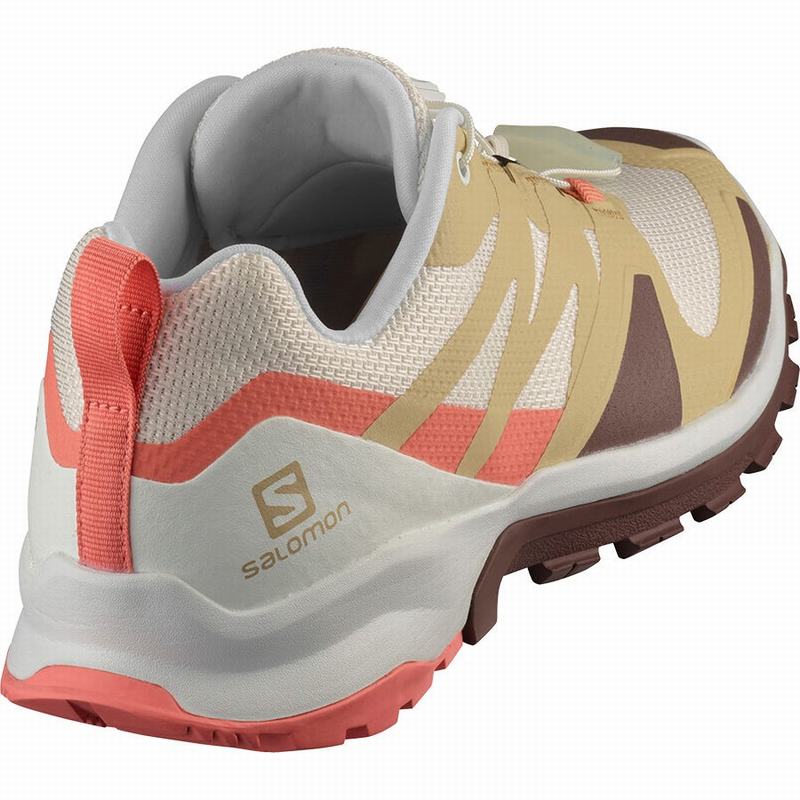 Women's Salomon XA ROGG W Trail Running Shoes Beige / Khaki | 8692MDGRO