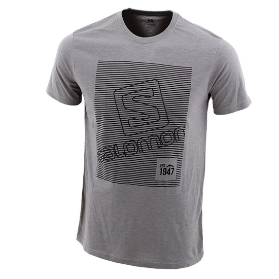 Kids' Salomon FINELINE SS B T Shirts Grey | VSJMYI-215