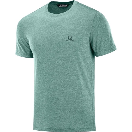 Men's Salomon EXPLORE PIQUE SS M T Shirts Green | LPXCQT-607