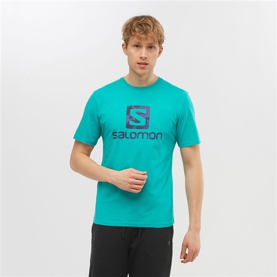 Men's Salomon OUTLIFE LOGO Short Sleeve T Shirts Mint | DPFCJS-150