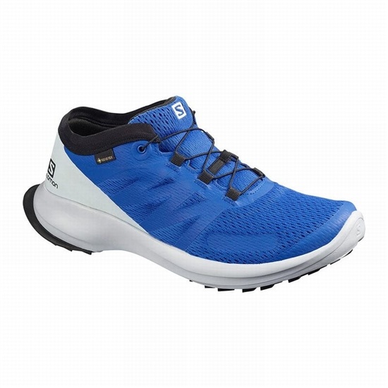 Men's Salomon SENSE FLOW GTX Trail Running Shoes Blue | OTLDMC-615