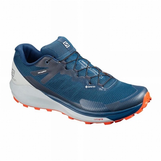 Men's Salomon SENSE RIDE 3 GTX INVIS. FIT Trail Running Shoes Navy | RASVFK-459