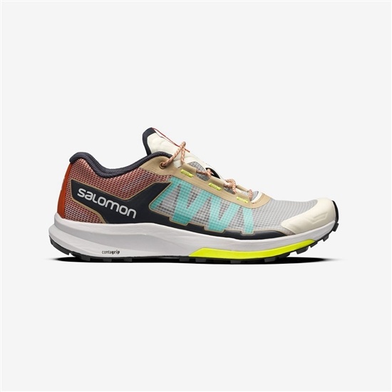 Men's Salomon ULTRA RAID Sneakers Multicolor | DUEVQC-510