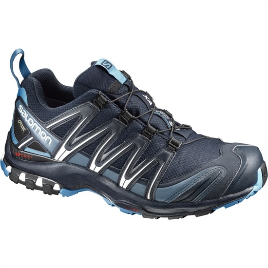 Men's Salomon XA PRO 3D GTX Trail Running Shoes Navy | WMZOYR-580