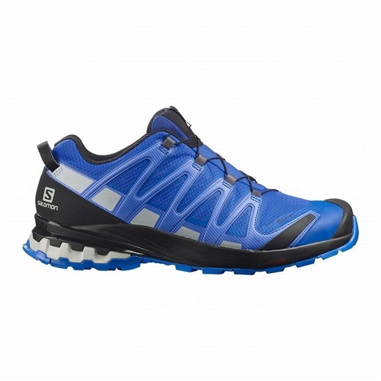 Men's Salomon XA PRO 3D V8 GORE-TEX Trail Running Shoes Black / Blue | DPAHBZ-129