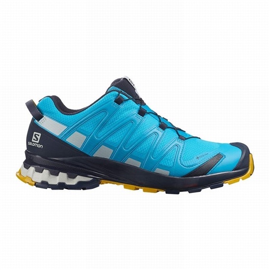 Men's Salomon XA PRO 3D V8 GORE-TEX Trail Running Shoes Blue | VDXYBW-624