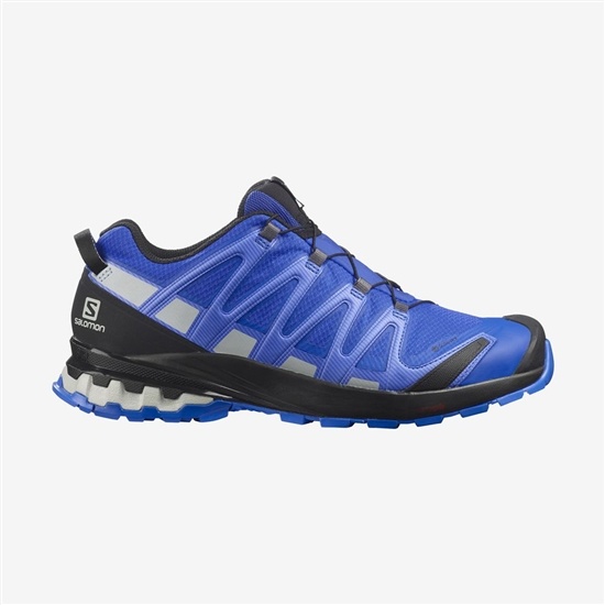 Men's Salomon XA PRO 3D V8 GORE-TEX Trail Running Shoes Blue | XMGJSL-602