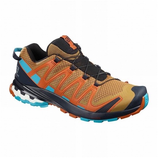 Men's Salomon XA PRO 3D V8 Trail Running Shoes Navy / Blue | VCAJNL-593