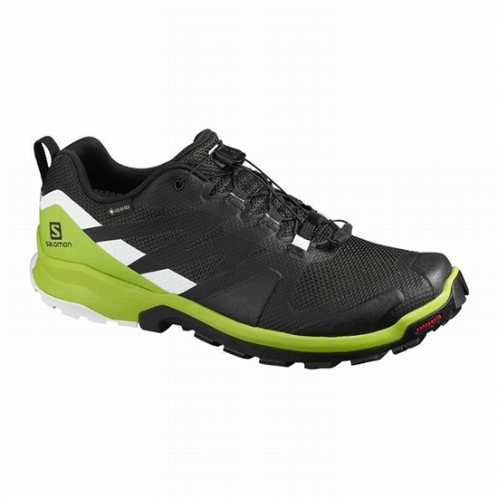 Men's Salomon XA ROGG GTX Hiking Shoes Black / Light Green | SEPNQV-045