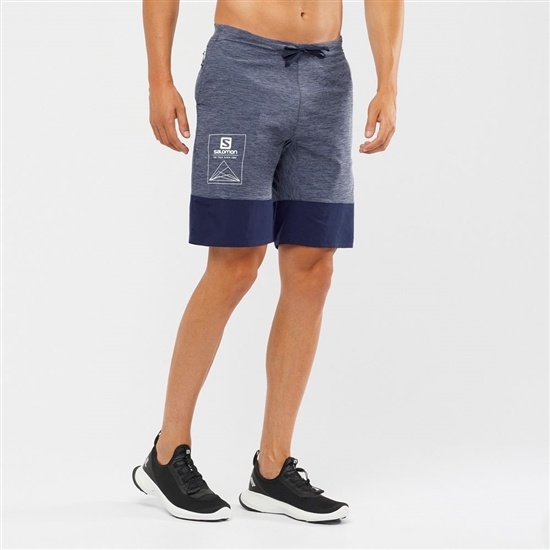 Men's Salomon XA TRAINING Shorts Grey / Navy | IKBAJN-706