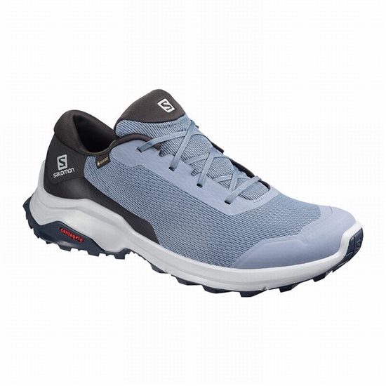 Men's Salomon X REVEAL GORE-TEX Hiking Shoes Blue / Black | RYVKGL-415