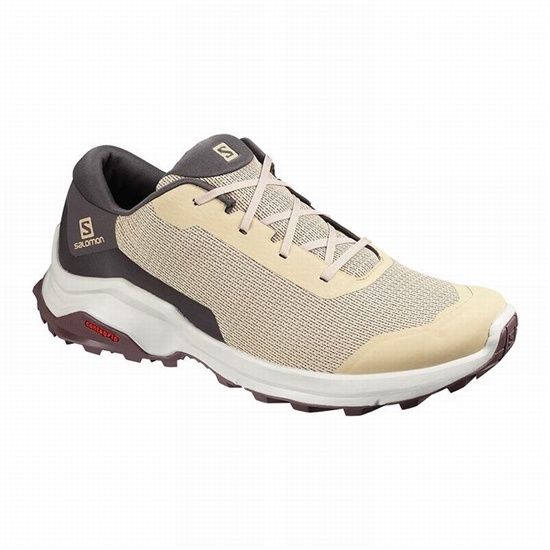 Men's Salomon X REVEAL Hiking Shoes Brown | GWDSHU-590
