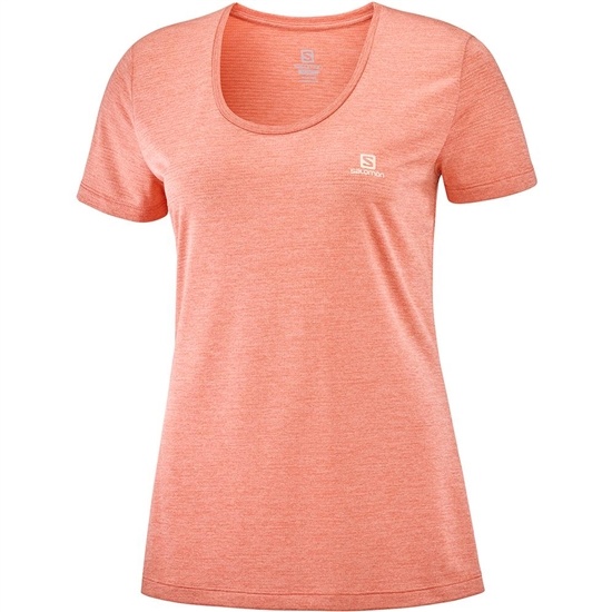 Women's Salomon AGILE SS W T Shirts Coral | ASYLBW-671