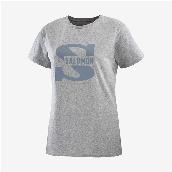 Women's Salomon OUTLIFE BIG LOGO Short Sleeve T Shirts Mid Grey | JLMTYV-053