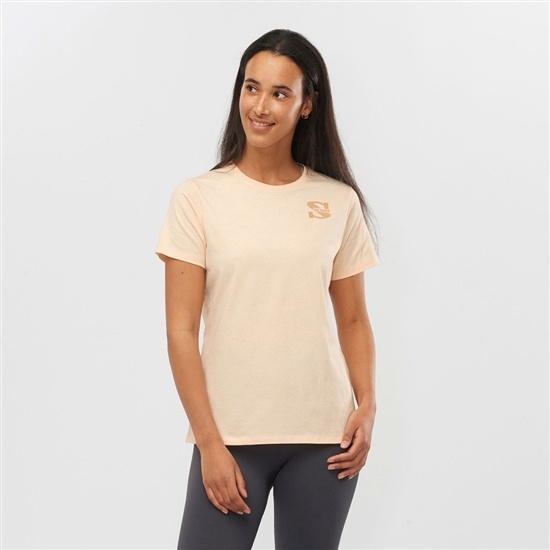 Women's Salomon OUTLIFE SMALL LOGO SS W Short Sleeve T Shirts Khaki | VDHQNT-571