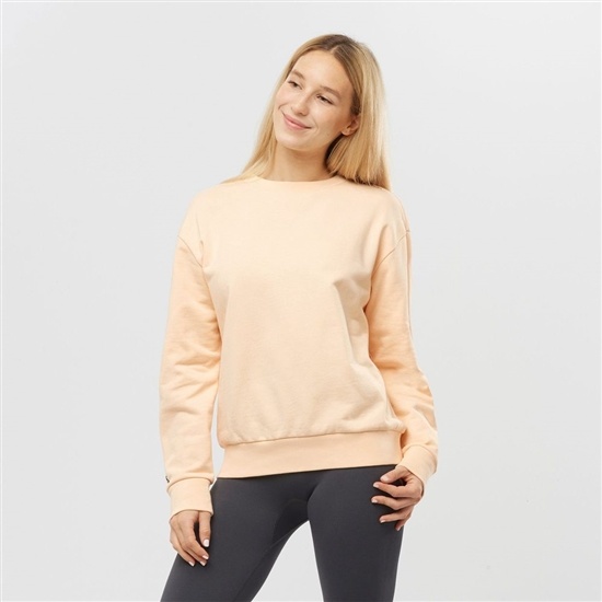 Women's Salomon OUTLIFE SUMMER Crewneck Pullover Beige | LJGQUN-627