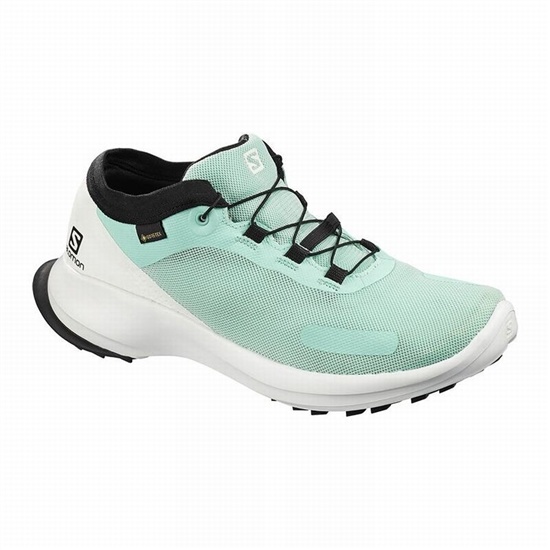 Women's Salomon SENSE FEEL GTX W Trail Running Shoes Turquoise / White | 6047SCLAO