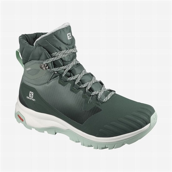 Women's Salomon VAYA BLAZE THINSULATE CLIMASALOMON WATERPROOF Winter Boots Green | 6853HJBQW