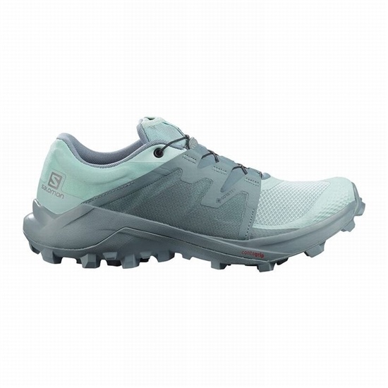 Women's Salomon WILDCROSS GTX Trail Running Shoes Turquoise / Turquoise | 7324RZSGB